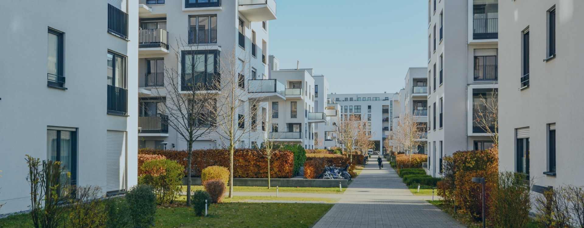 Between several white modern apartment buildings with balconies, there is a paved way with some planted trees and bushes on the sides.